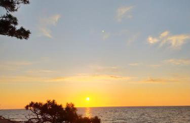 Słoneczna Sarbinówka - Foto 71