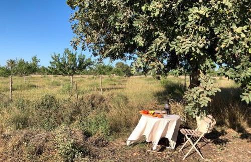 Blue Door Mallorca - Foto 25