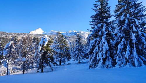 Studio avec vue montagne au pied des pistes - Foto 4