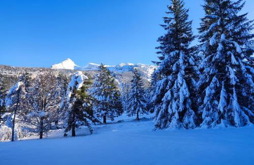 Studio avec vue montagne au pied des pistes - Foto 4