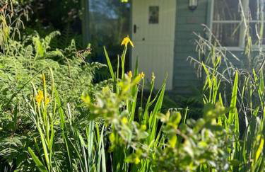 The Artists Studio - Foto 1