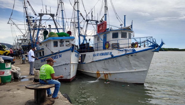 Mazatlan Seafood Secrets - Half-Day Guided Tour - Foto 3