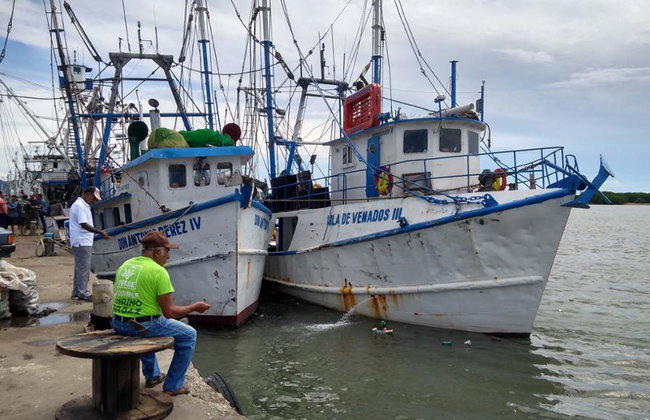 Mazatlan Seafood Secrets - Half-Day Guided Tour - Photo 3
