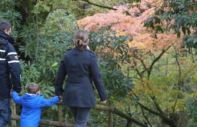 Shepherds Cottage Bryncethin - Foto 13