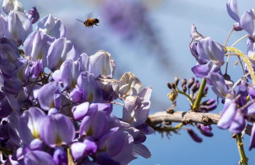 Alba Morus - Photo 43