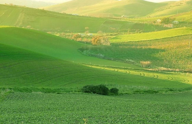 Ridocco Agriturismo - Photo 14