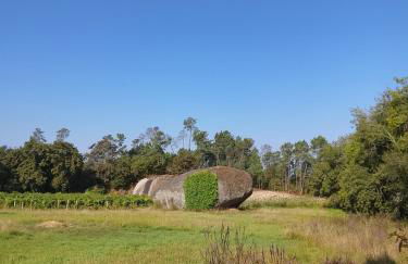 Alojamento 444 - Foto 28