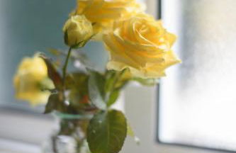 Gerês Country Stays- FLOR - Comfort and tranquility with a stunning view - Foto 17