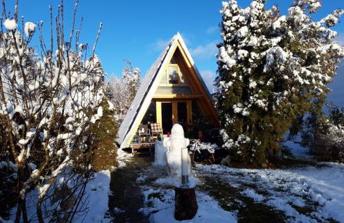 Ferienpark Schellbronn - Wolfseeweg 11 und Wolfseeweg 9 - Foto 11