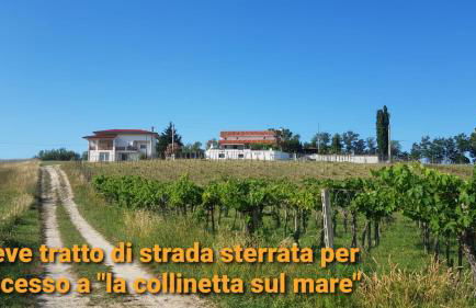 La collinetta sul mare - Foto 15