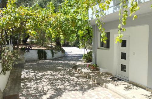 Alexander apartments - Foto 23