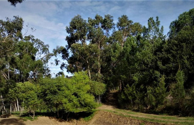 Impeccable 3 Bedroom House, sea View in Aljezur - Foto 25