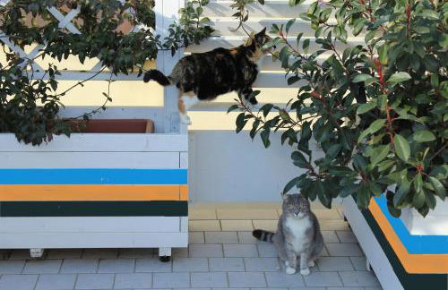 La Casa di Pamy - Foto 71