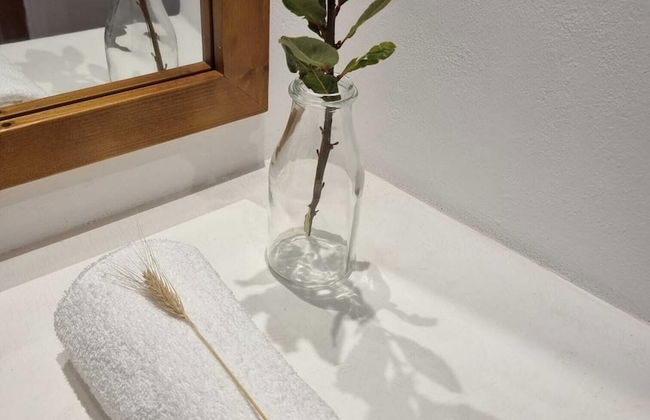 Herdade do Vidigal - Foto 61