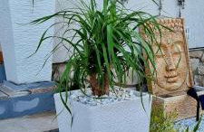 Villa Rosa de los Vientos - Foto 15