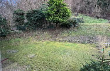 Gîte Cigogne et Sanglier - Foto 8