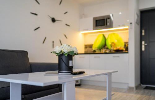 Domki Nord Breeze z podgrzewanym basenem, jacuzzi oraz sauną - Foto 63