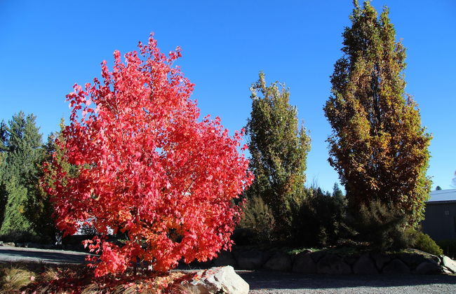 Apartment at Mapleview - Foto 20