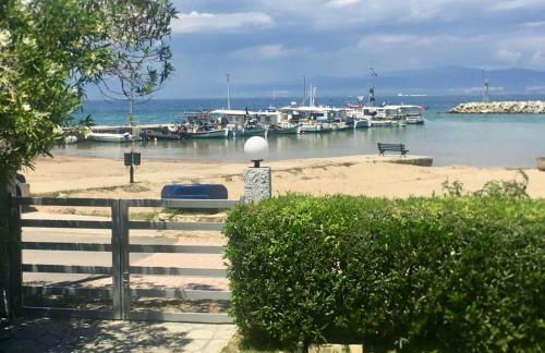 Seashell by halu! - Foto 69