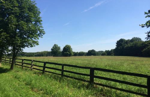 Ländliches HideAway zwischen Hamburg und Lübeck - Foto 23