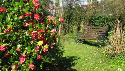 El Trebano - Foto 4, Garden