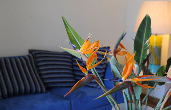 Quarté Sayàl - Foto 19