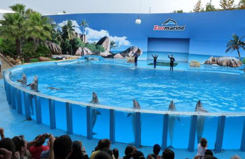 Rainha Juliana - Foto 12