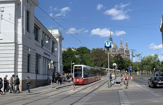 Pink Grapefruit City Condo - Foto 29