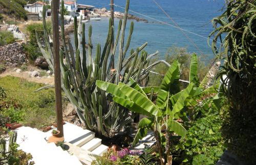 Alkioni Studios - Foto 40