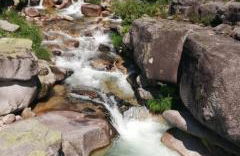 Casa do Azevim - Foto 66