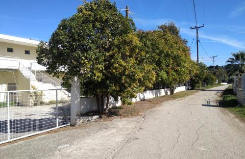 Kalypso relaxing shelter - Foto 44