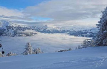 Location MarjoRI - T3 Le Kakariki - Foto 19