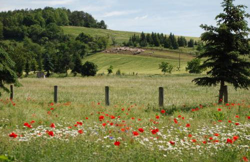 Landkulturhof Glücksbringer - Foto 24