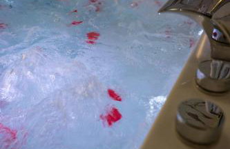 Appartement d'exception avec Jacuzzi - Foto 23