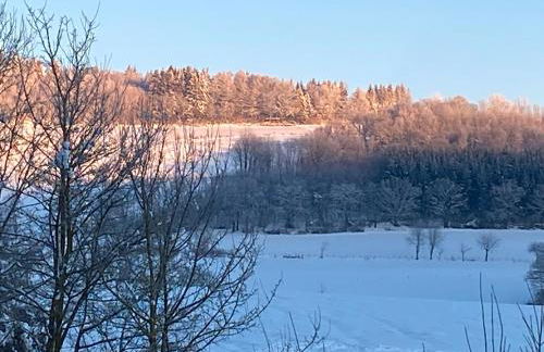 Glückshuuske Sauerland - Foto 17