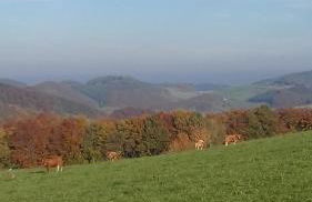 Apartment Preising - Foto 14