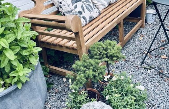 Liefde Voor de Schlei - Photo 31