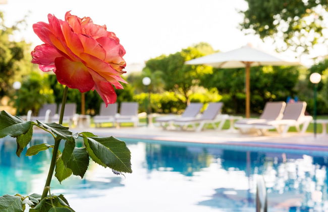 Terinikos Sunny Garden Hotel & Junior Suites - Foto 38