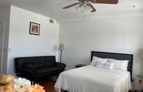 2 Bedroom Apartment - Foto 18