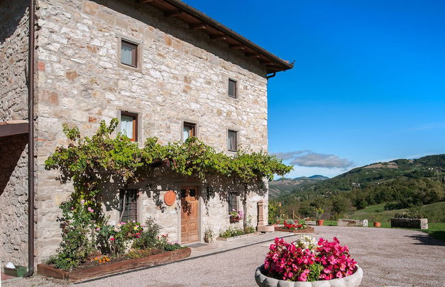 Fattoria Ca' di Fatino - Foto 1