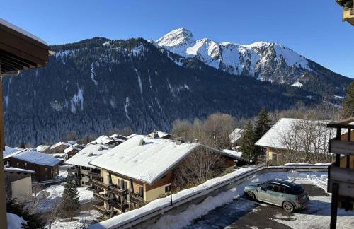 Yéti 6 n° 8 : appartement rénové au Petit Chatel - Foto 13