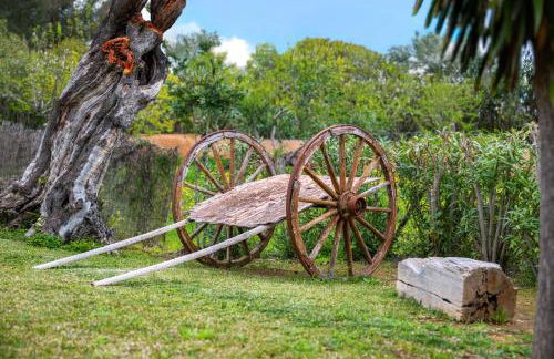 Agroturismo Son Bauzanet - Foto 11