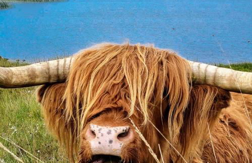 DOLLARBEG CASTLE - The Tower - Luxury Apartment - Foto 37