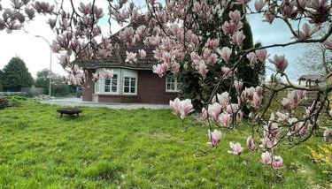 Ferienhaus Butjadingen - Haus Ruhwarden - Foto 2, Garden