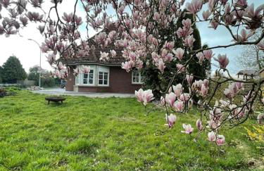 Ferienhaus Butjadingen - Haus Ruhwarden - Foto 2