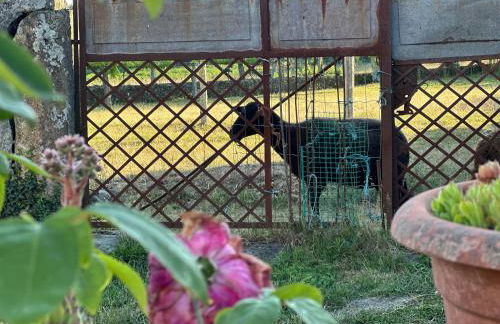 Casa do Bidueiro - Foto 63