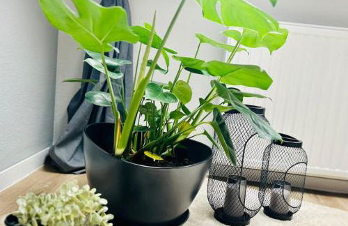 Gemütlich & stilvoll- Veloparadies Oelde auf 65qm - Foto 17