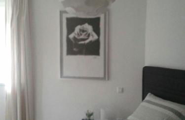 Zwischen Weinstrasse und Pfälzer Wald - Foto 5