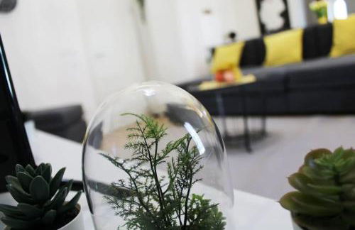 Hamburger Perle am Gänsemarkt und Binnenalster - Photo 21