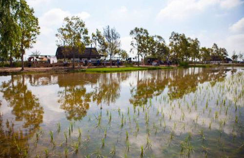 Can Carles - Delta del Ebro - Foto 36